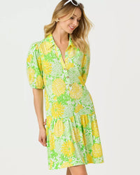The "Mumbo Jumbo" Bingley Dress by Lilly Pulitzer