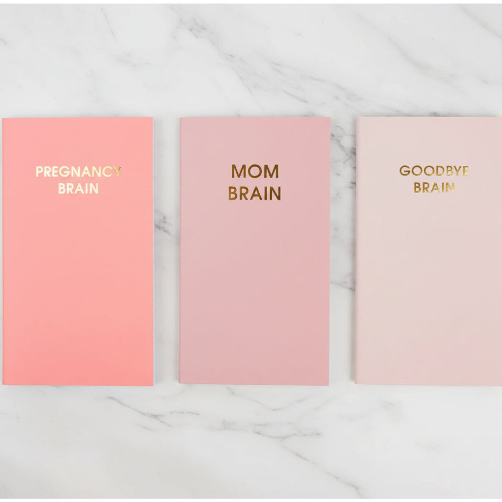 The "Mom Brain" Mini Journal Trio