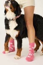 The "Pawsitive Vibes" Cozy Socks by PJ Salvage