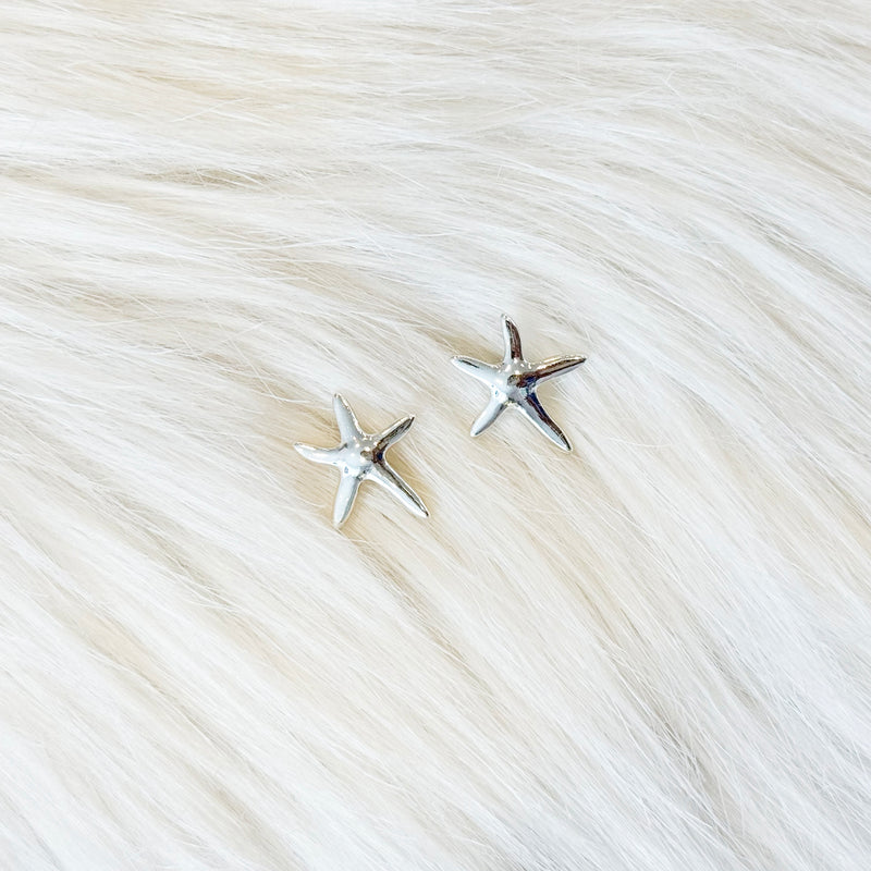 The "Shiny Silver Star" Earrings