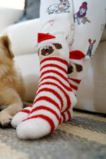 The "Christmas Pug" Fun Socks by PJ Salvage